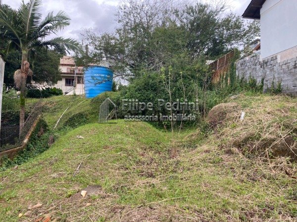 Terreno Vila Nova Porto Alegre
