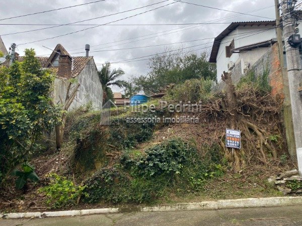 Terreno Vila Nova Porto Alegre