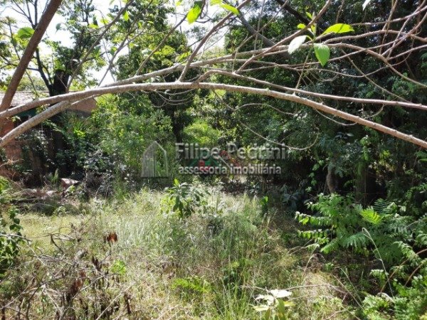 Terreno  Porto Alegre