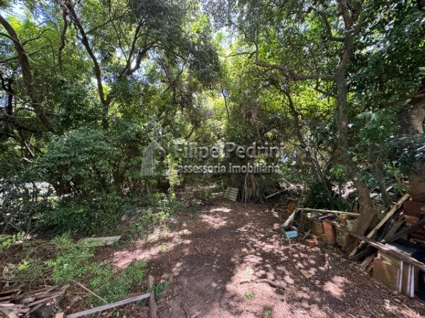 Prédio Ipanema Porto Alegre