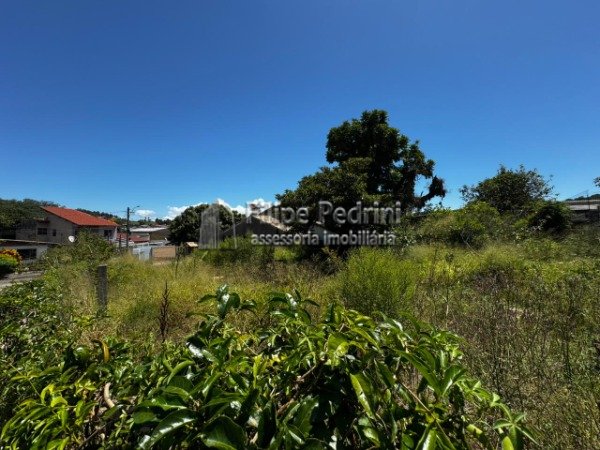 Terreno Campo Novo Porto Alegre
