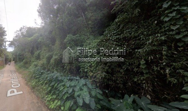 Área Ponta Grossa Porto Alegre