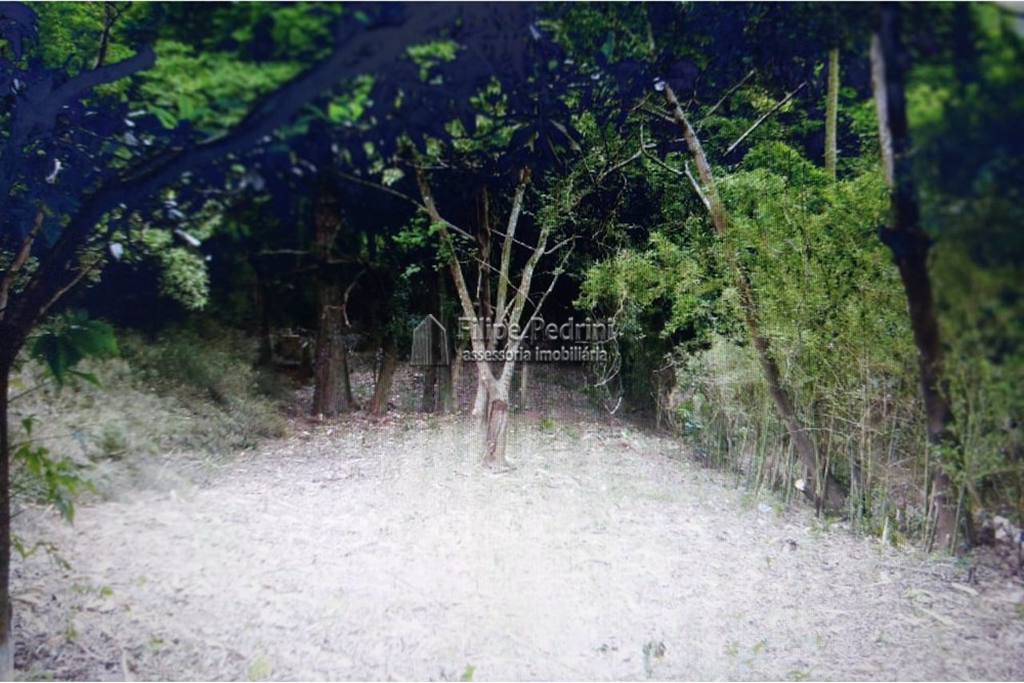 Terreno Nonoai Porto Alegre