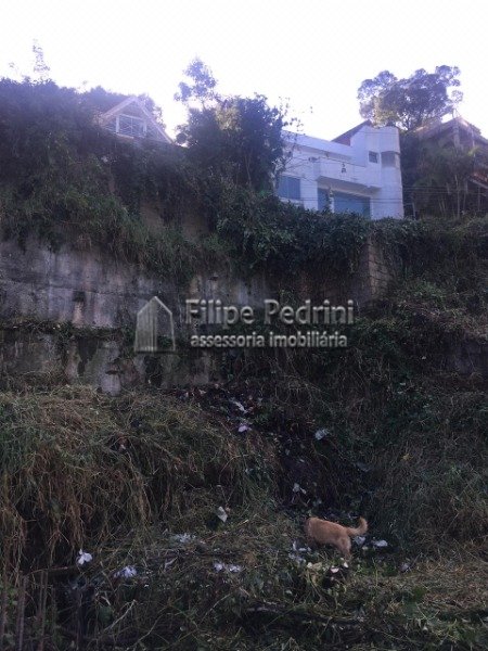 Terreno Vila Conceição Porto Alegre